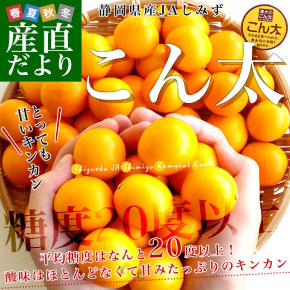 静岡県産　JAしみず　こん太きんかん　超大玉4L以上　秀品　約1キロ　金柑　キンカン 送料無料02