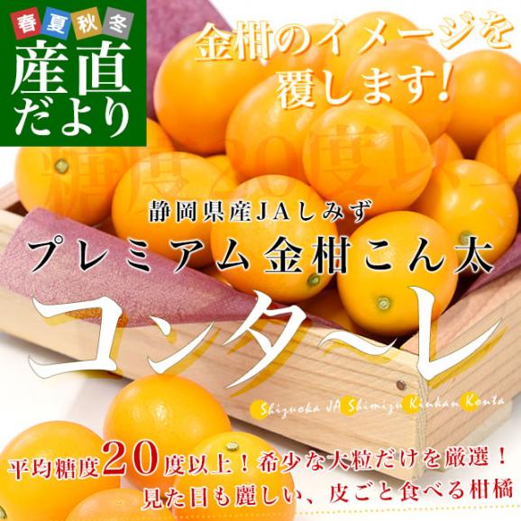 静岡県 JAしみず 金柑「コンターレ」赤秀品 約1キロ 3Lサイズ以上 送料無料 きんかん 柑橘 こん太 市場発送02