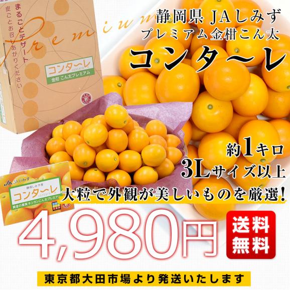 静岡県 JAしみず 金柑「コンターレ」赤秀品 約1キロ 3Lサイズ以上 送料無料 きんかん 柑橘 こん太 市場発送03