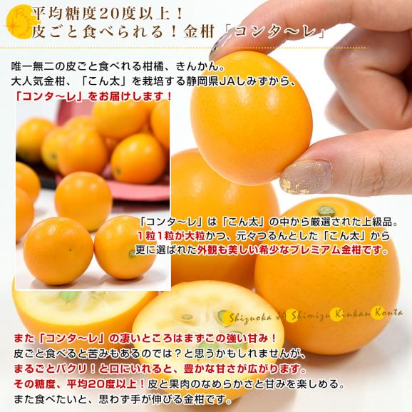 静岡県 JAしみず 金柑「コンターレ」赤秀品 約1キロ 3Lサイズ以上 送料無料 きんかん 柑橘 こん太 市場発送04
