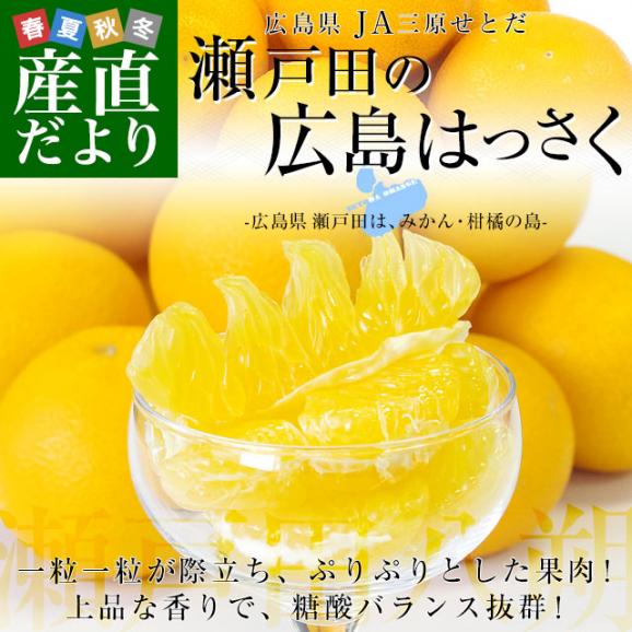 広島県産 JA三原せとだ 「瀬戸田の広島はっさく（八朔）」 優品以上 約3.5キロ 2Lサイズ （11玉入り）送料無料 柑橘 かんきつ 市場発送02