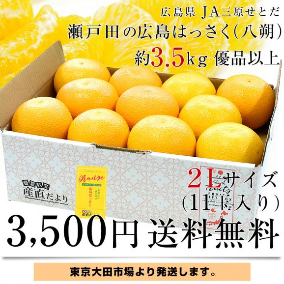 広島県産 JA三原せとだ 「瀬戸田の広島はっさく（八朔）」 優品以上 約3.5キロ 2Lサイズ （11玉入り）送料無料 柑橘 かんきつ 市場発送03