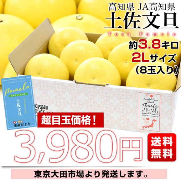高知県産 JA高知県 土佐文旦 約3.8キロ 2Lサイズ（8玉入り）送料無料 柑橘 柑橘 ぶんたん 文旦 市場発送03