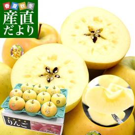 青森県 JA津軽みらい こうこう 約3キロ(8玉から11玉入り)  特A 送料無料 林檎 りんご リンゴ 市場発送