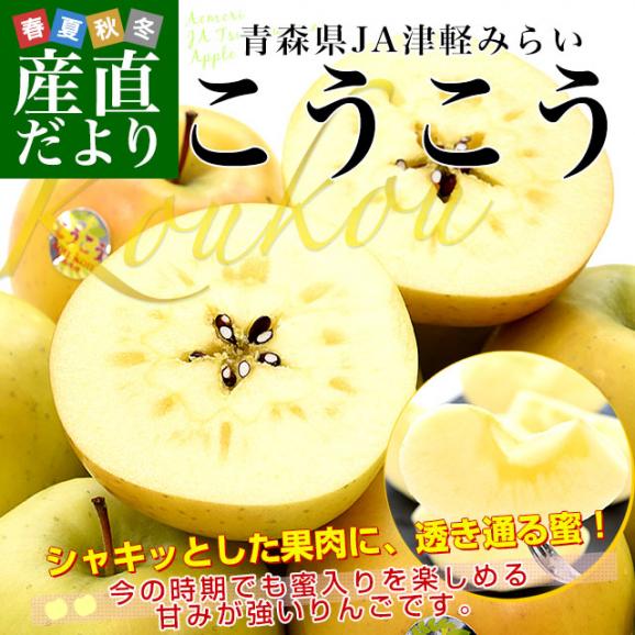 青森県 JA津軽みらい こうこう 約3キロ(8玉から11玉入り)  特A 送料無料 林檎 りんご リンゴ 市場発送02