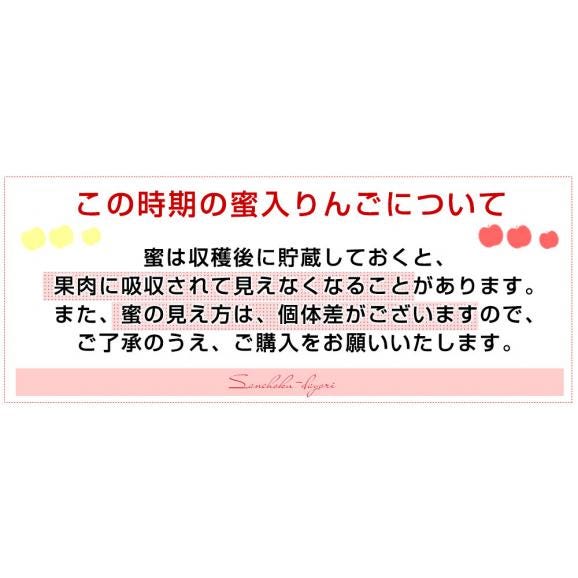 青森県 JA津軽みらい こうこう 約3キロ(8玉から11玉入り)  特A 送料無料 林檎 りんご リンゴ 市場発送06