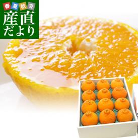 愛媛県より産地直送 JAにしうわ デコポン 秀品 4Lから2Lサイズ 3キロ（8玉から12玉前後）送料無料 でこぽん しらぬい 柑橘 オレンジ 西宇和