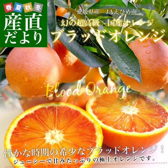 愛媛県より産地直送 JAえひめ南 ブラッドオレンジ  秀品 3キロ (18玉から20玉前後) 柑橘 国産オレンジ 国産ブラッド 送料無料02