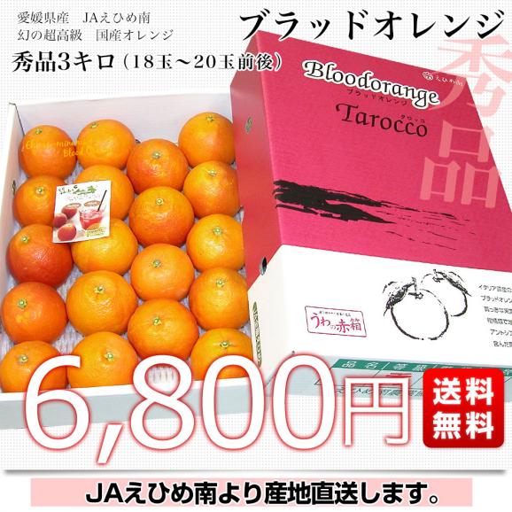 愛媛県より産地直送 JAえひめ南 ブラッドオレンジ  秀品 3キロ (18玉から20玉前後) 柑橘 国産オレンジ 国産ブラッド 送料無料03