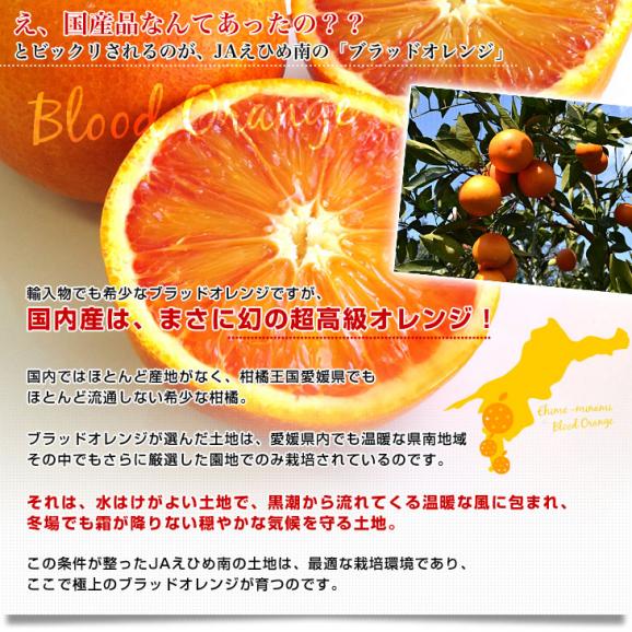 愛媛県より産地直送 JAえひめ南 ブラッドオレンジ  秀品 3キロ (18玉から20玉前後) 柑橘 国産オレンジ 国産ブラッド 送料無料05