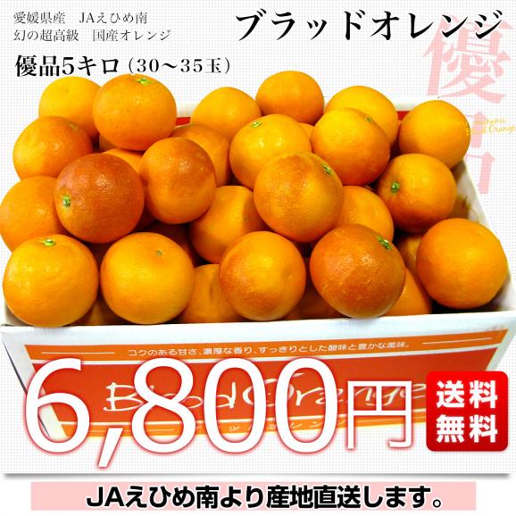 愛媛県より産地直送 JAえひめ南 ブラッドオレンジ 優品 5キロ 愛媛県より産地直送 JAえひめ南 ブラッドオレンジ 優品 5キロ