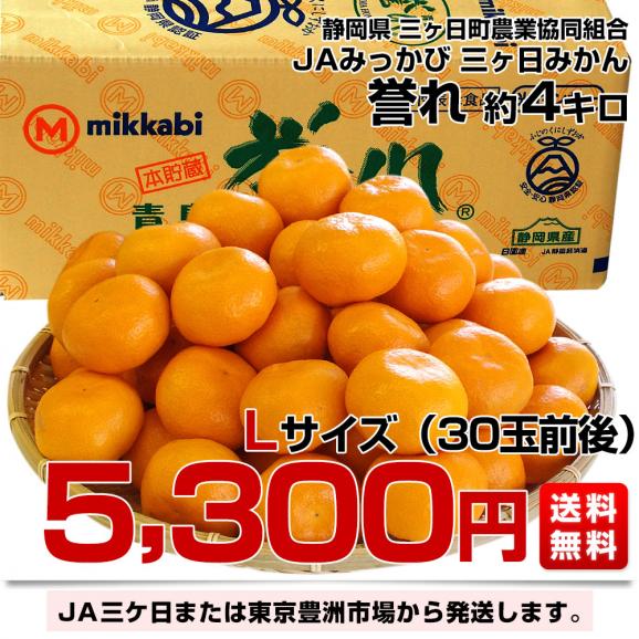 静岡県産  JAみっかび 三ケ日みかん 誉れ  Lサイズ 約4キロ ミカン 蜜柑 みかん　送料無料03