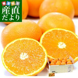 和歌山県 JAありだ 清見オレンジ 約2.8キロ(15玉前後) ＬからＭサイズ 送料無料 柑橘 おれんじ 市場発送