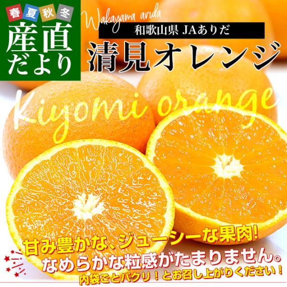和歌山県 JAありだ 清見オレンジ 約2.8キロ(15玉前後) ＬからＭサイズ 送料無料 柑橘 おれんじ 市場発送02