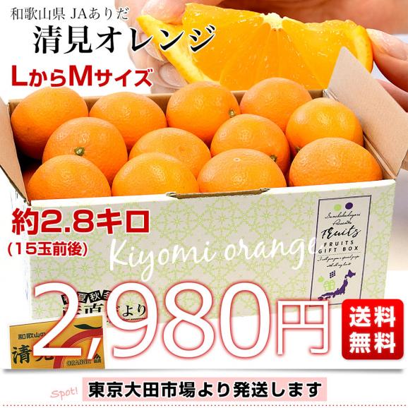 和歌山県 JAありだ 清見オレンジ 約2.8キロ(15玉前後) ＬからＭサイズ 送料無料 柑橘 おれんじ 市場発送03