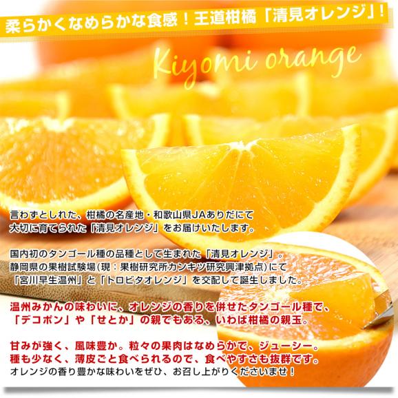 和歌山県 JAありだ 清見オレンジ 約2.8キロ(15玉前後) ＬからＭサイズ 送料無料 柑橘 おれんじ 市場発送04