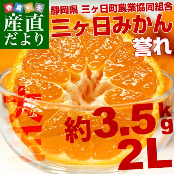 静岡県より産地直送  JAみっかび 三ケ日みかん 誉れ  2Lサイズ 約3.5キロ ミカン 蜜柑 みかん　送料無料02