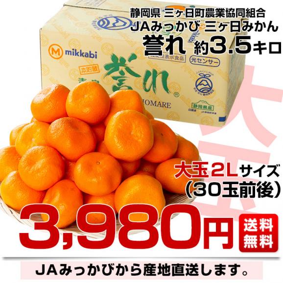 静岡県より産地直送  JAみっかび 三ケ日みかん 誉れ  2Lサイズ 約3.5キロ ミカン 蜜柑 みかん　送料無料03