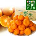静岡県より産地直送  JAみっかび 三ケ日みかん 誉れ  超大玉3Lサイズ 約3.5キロ ミカン 蜜柑 みかん　送料無料