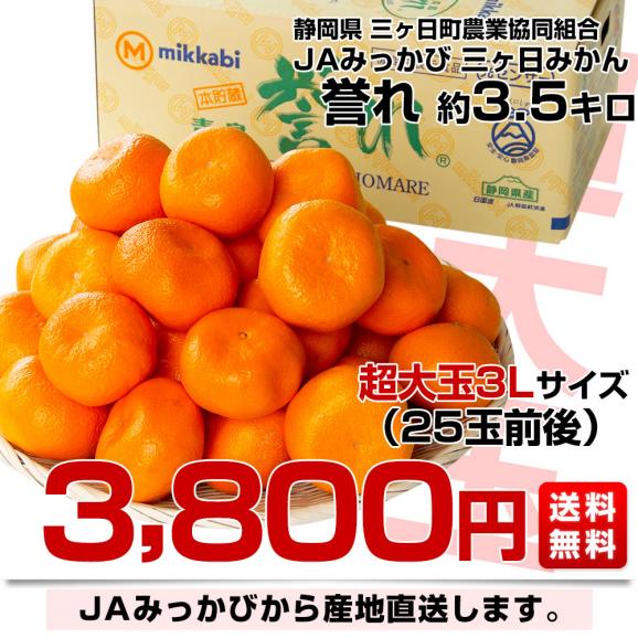 静岡県より産地直送  JAみっかび 三ケ日みかん 誉れ  超大玉3Lサイズ 約3.5キロ ミカン 蜜柑 みかん　送料無料03