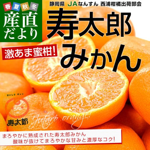 静岡県産 JAなんすん 西浦柑橘出荷部会 寿太郎みかん 約2.5キロ LからMサイズ（20玉から25玉前後） みかん ミカン 市場発送02