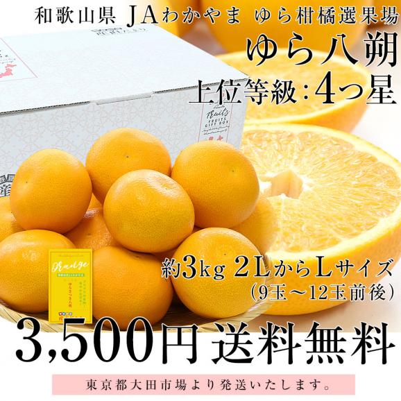 和歌山県産 JAわかやま ゆら選果場 ゆら八朔 上級等級：4つ星 ２LからLサイズ 約3キロ (9玉から12玉) 送料無料 由良はっさく 市場発送03