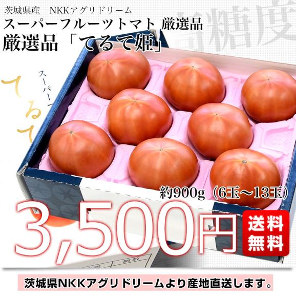 茨城県より産地直送 NKKアグリドリーム スーパーフルーツトマト 9度＋ A品　大粒厳選「てるて姫」約900g(6玉から13玉) 送料無料 高糖度トマト NKKトマト03