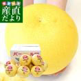 熊本県産 JA熊本うき パール柑 秀品 9キロ前後 超大玉サイズ 6Lから5L (9玉から12玉) 送料無料 柑橘 文旦 ぱーるかん 市場発送 