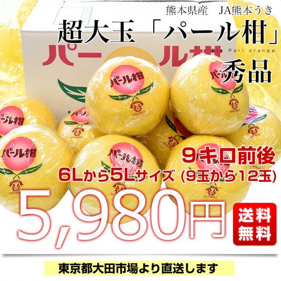 Amazon.co.jp: 【選果落ち 訳あり品】熊本県産 パール柑 規格外