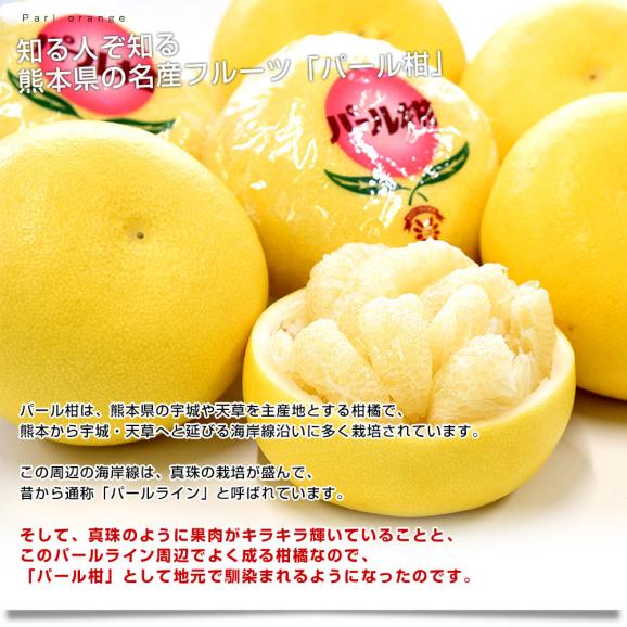 熊本県産 JA熊本うき パール柑 秀品 9キロ前後 超大玉サイズ 6L 熊本県産 JA熊本うき パール柑 秀品 9キロ前後 超大玉サイズ 6L