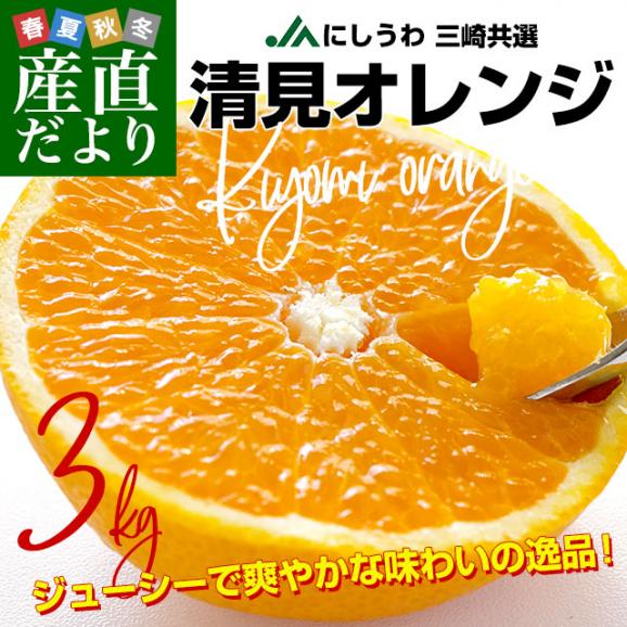 愛媛県より産地直送 JAにしうわ 三崎共選 清見オレンジ 約3キロ (8玉から10玉前後) 3Lから４Lサイズ 送料無料 柑橘 オレンジ 西宇和02