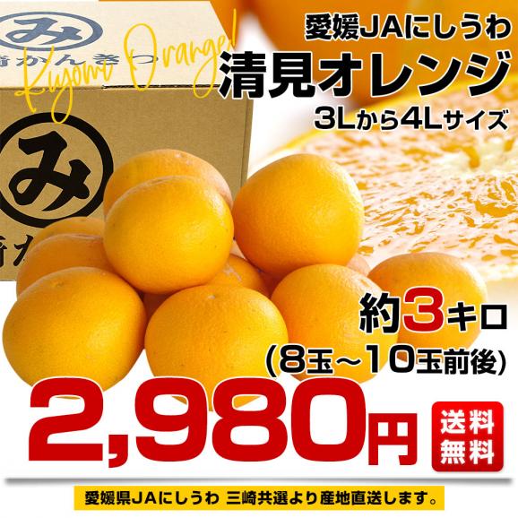 愛媛県より産地直送 JAにしうわ 三崎共選 清見オレンジ 約3キロ (8玉から10玉前後) 3Lから４Lサイズ 送料無料 柑橘 オレンジ 西宇和03