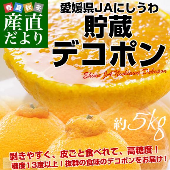 愛媛県 JAにしうわ 貯蔵デコポン  3LからLサイズ 5キロ（18玉から24玉前後）送料無料 でこぽん 柑橘 オレンジ 西宇和02