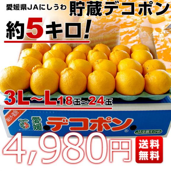 愛媛県 JAにしうわ 貯蔵デコポン  3LからLサイズ 5キロ（18玉から24玉前後）送料無料 でこぽん 柑橘 オレンジ 西宇和03