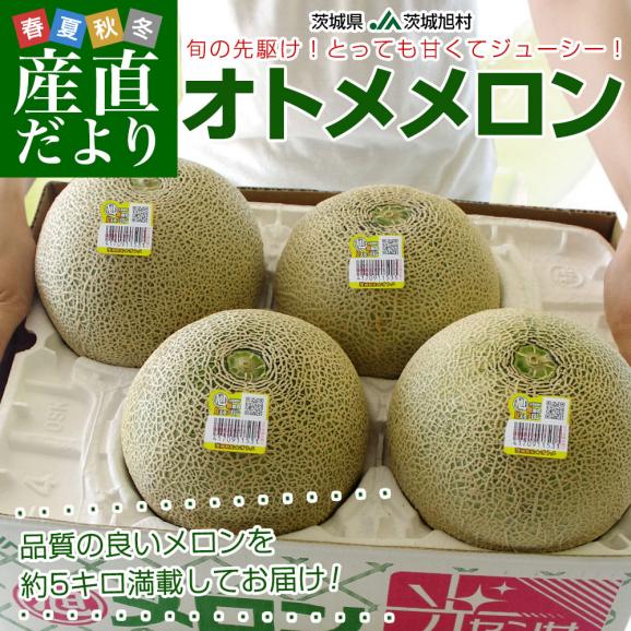 茨城県産 JA茨城旭村 オトメメロン 優品以上4Lから3Lサイズ 約5キロ (3玉から4玉) 送料無料 メロン めろん 青肉メロン02