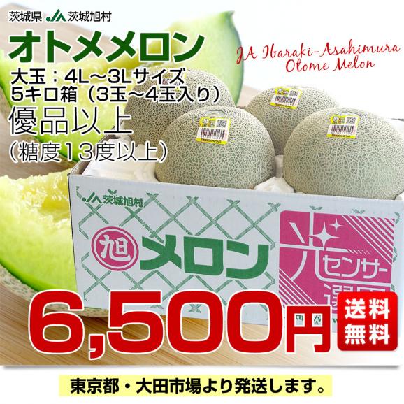 生産量日本一！ 茨城県産 オトメメロン 2L 5玉セット 秀品