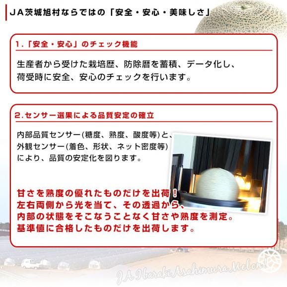 茨城県産 JA茨城旭村 オトメメロン 優品以上4Lから3Lサイズ 約5キロ (3玉から4玉) 送料無料 メロン めろん 青肉メロン06