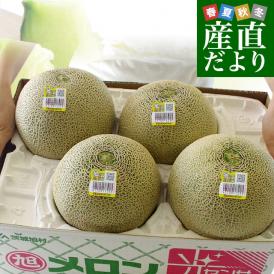 茨城県産 JA茨城旭村 オトメメロン A品 4Lから3Lサイズ 5キロ箱 (3玉から4玉) 送料無料 メロン めろん 青肉メロン