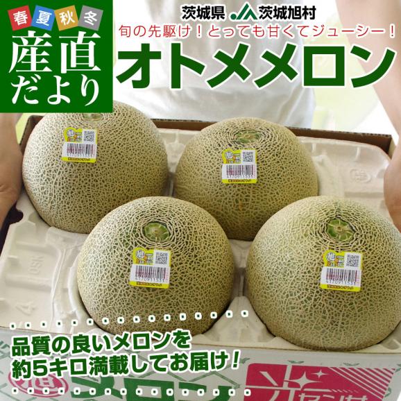 茨城県産 JA茨城旭村 オトメメロン A品 4Lから3Lサイズ 約5キロ (3玉から4玉) 送料無料 メロン めろん 青肉メロン02