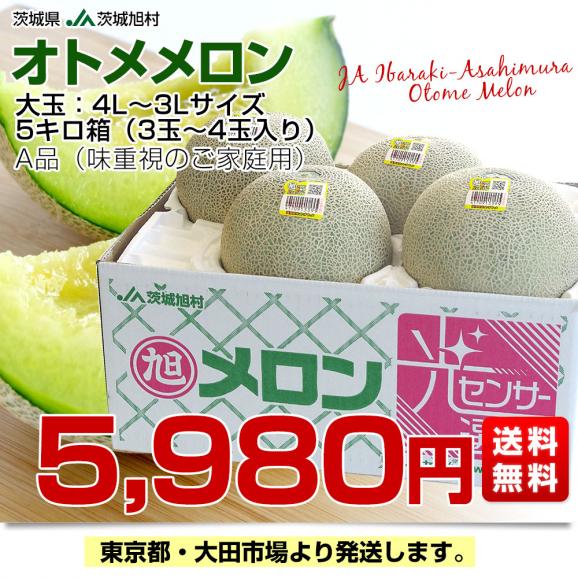 茨城県産 JA茨城旭村 オトメメロン A品 4Lから3Lサイズ 5キロ箱 (3玉から4玉) 送料無料 メロン めろん 青肉メロン03