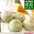 茨城県産 JA茨城旭村 クインシーメロン 優品以上 約5キロ (3玉から4玉) 4Lから3Lサイズ 送料無料 赤肉メロン めろん 赤肉