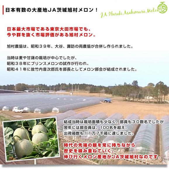 茨城県産 JA茨城旭村 クインシーメロン 優品以上 約5キロ (3玉から4玉) 4Lから3Lサイズ 送料無料 赤肉メロン めろん 赤肉05