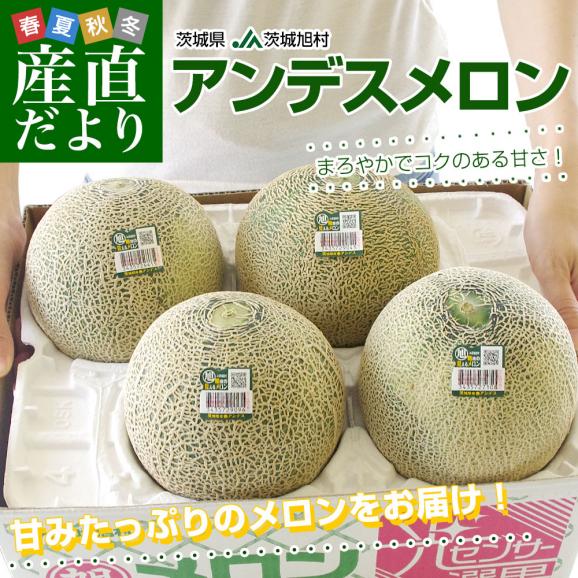 茨城県産 JA茨城旭村 アンデスメロン A品 4Lから3Lサイズ 約5キロ (3玉から4玉) 送料無料 メロン めろん 青肉メロン02