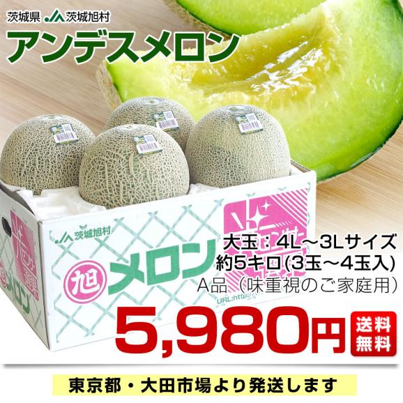茨城県産 JA茨城旭村 アンデスメロン A品 4Lから3Lサイズ 約5キロ (3玉から4玉) 送料無料 メロン めろん 青肉メロン03
