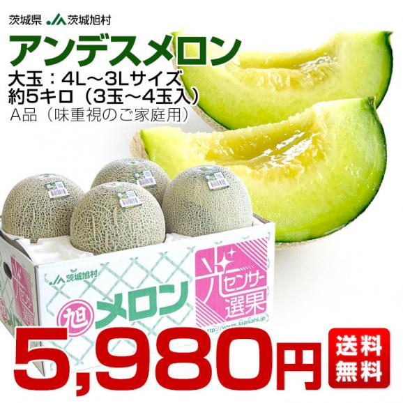 茨城県産 JA茨城旭村 アンデスメロン A品 4Lから3Lサイズ 約5キロ (3玉から4玉) 送料無料 メロン めろん 青肉メロン03