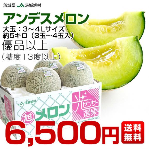 茨城県産 JA茨城旭村 アンデスメロン 優品以上 4Lから3Lサイズ 約5キロ (3玉から4玉) 送料無料 メロン めろん 青肉メロン03
