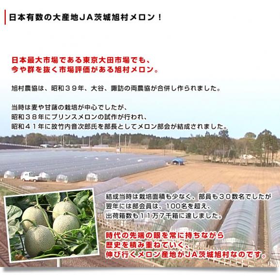 茨城県産 JA茨城旭村 アンデスメロン 優品以上 4Lから3Lサイズ 約5キロ (3玉から4玉) 送料無料 メロン めろん 青肉メロン05