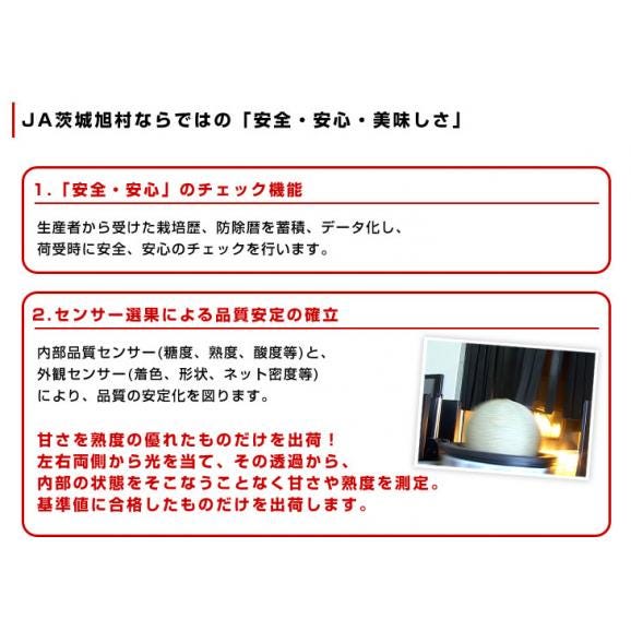 茨城県産 JA茨城旭村 アンデスメロン 優品以上 4Lから3Lサイズ 約5キロ (3玉から4玉) 送料無料 メロン めろん 青肉メロン06