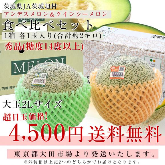 茨城県産 JA茨城旭村 アンデスメロン＆クインシーメロン 秀品 2玉セット(合計約2キロ) 2Lサイズ 送料無料 青肉 赤肉 メロンセット03