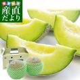 茨城県産 JA茨城旭村 アンデスメロン 秀品 2玉入り (合計約2キロ) 2Lサイズ 送料無料 青肉 めろん メロン
